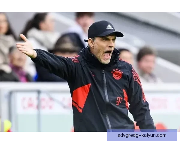 图赫尔战术适配性提升球队表现，新赛季备受期待